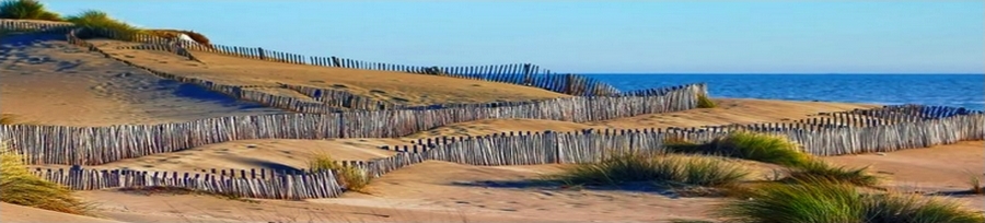 ganivelle et piquets en acacia